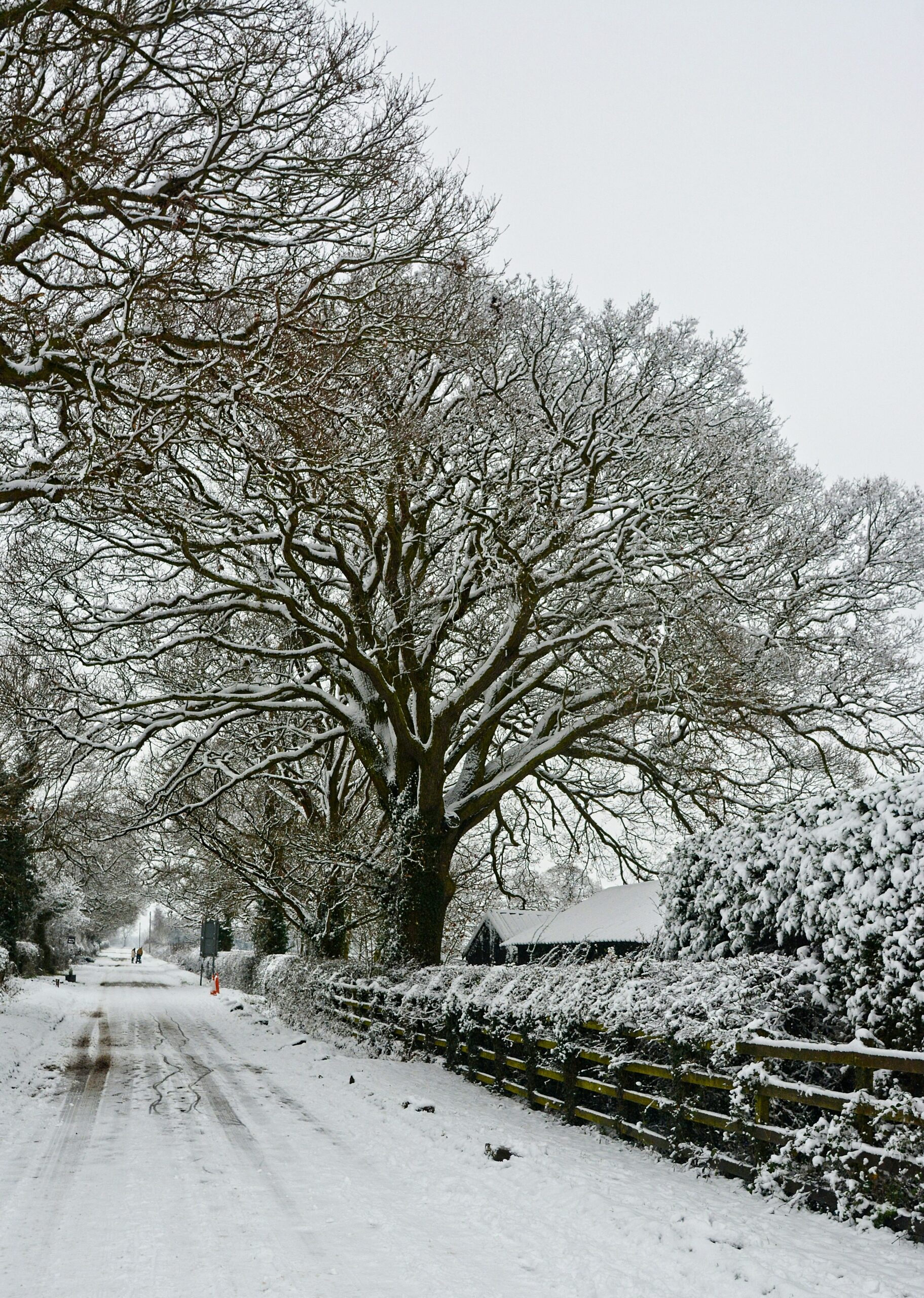 Wind Down This Winter - Crest Hotels Group